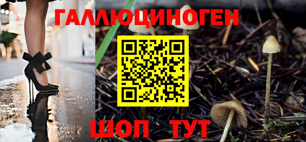 Галлюциногенные грибы Magic Shrooms  Вход с VPN  Гай 