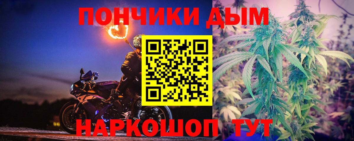 Гай  Конопля тримм  Вход с VPN  МАРИХУАНА планчик 